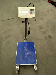 mobile scale Precia